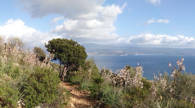 Ajaccio, chemin du Bois des Anglais