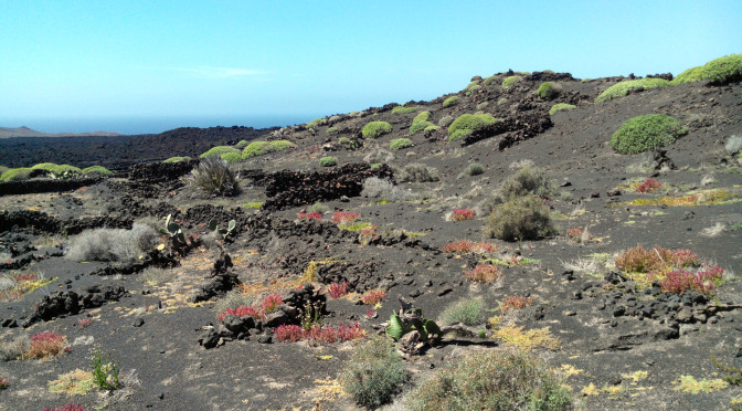 D’El Golfo à Playa del Paso, Lanzarote