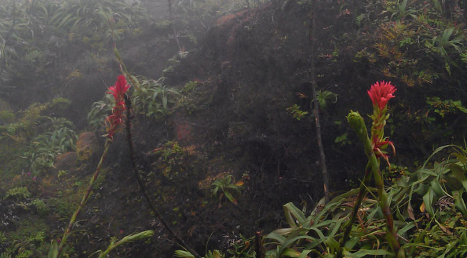 La Soufrière, Guadeloupe