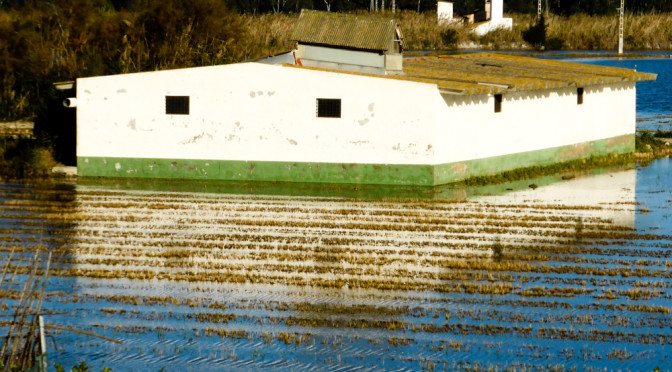 Albufera, Valence